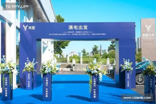 岚图汽车正式成为武汉三镇俱乐部官方合作伙伴 共促足球与汽车产业发展 岚图汽车正式成为武汉三镇俱乐部官方合作伙伴 共促足球与汽车产业发展
